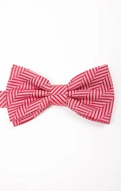 NOEUD PAPILLON CANDY