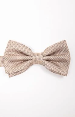 NOEUD PAPILLON CHAMPAGNE