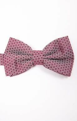 NOEUD PAPILLON DANDY